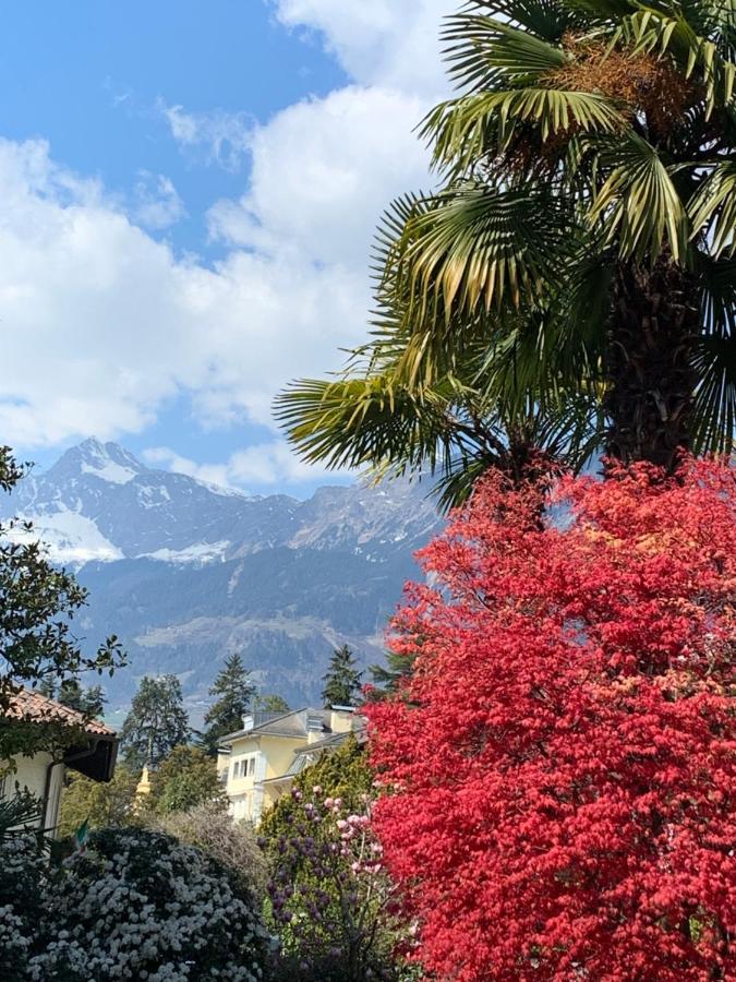 Hotel Zima Merano Exterior photo